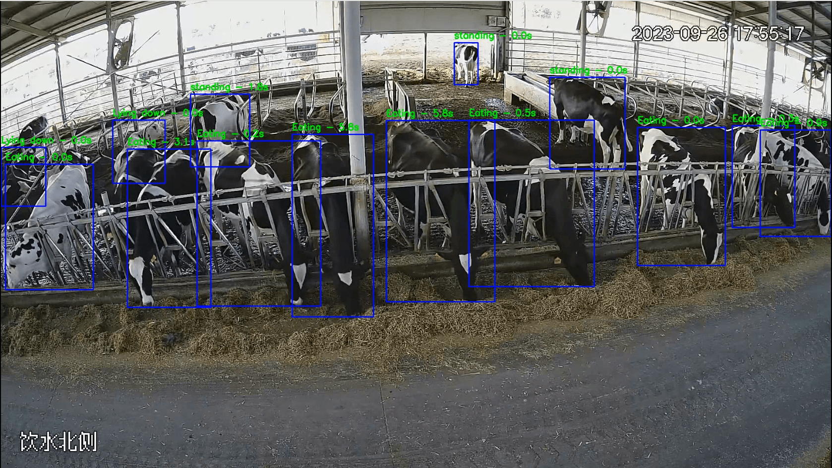 Cattle Monitoring System